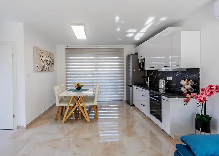 Carpe Diem 보디체