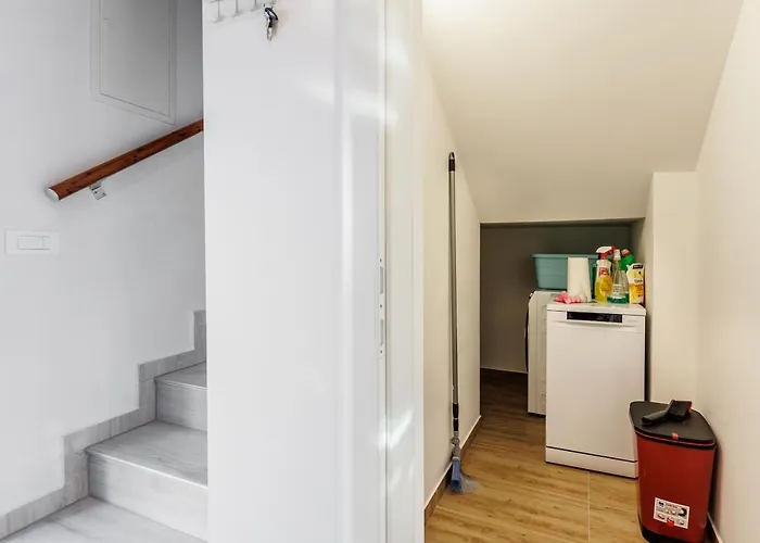 Carpe Diem וודיצה